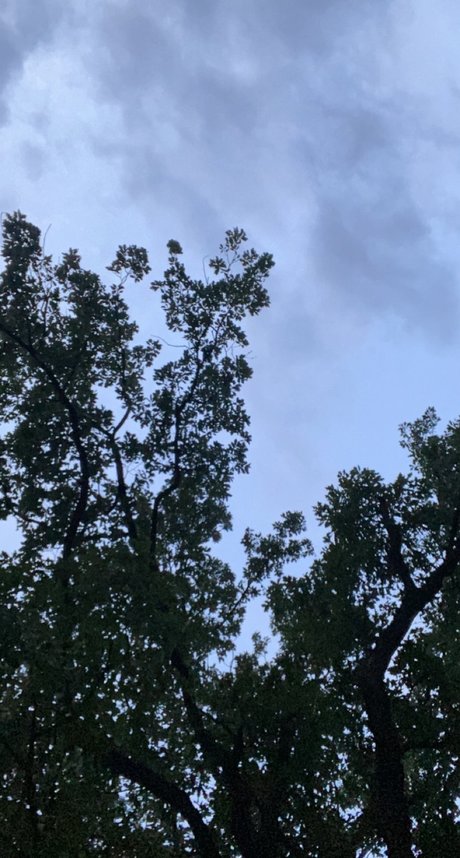 Nuuuuute model pretty gallery