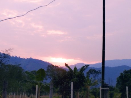 fitnessmodel onlyfans pornos img