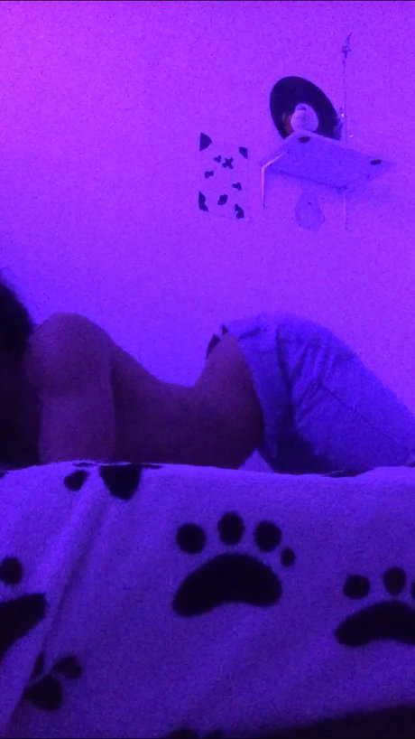 niv sexy star archive