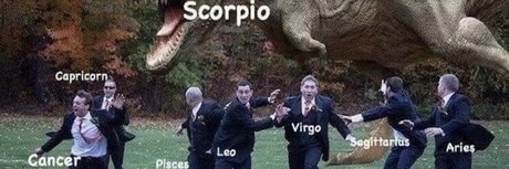 PERB2LEGIT model top picture