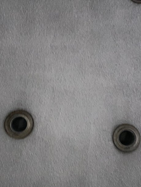 Pelaboy20 best model pic