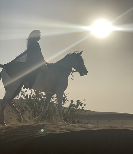 PeepingTomsQuest star art galleries