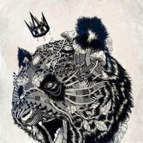 The1KingPanda star erotic photo