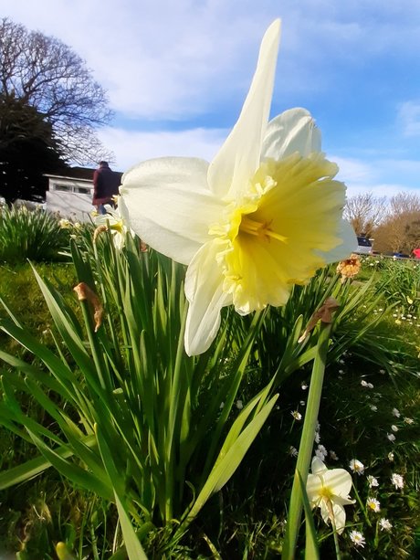 PaigeyBabyXXX model sex archive