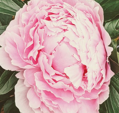 Owlseaeye pornstar naked photos