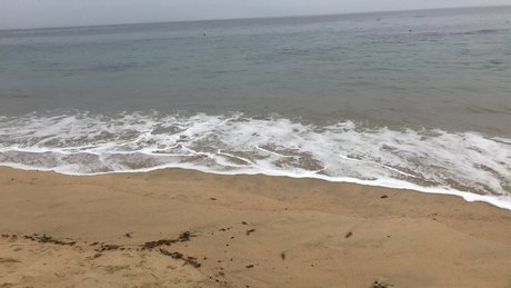 Odd pornstar perfect pictures