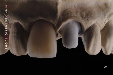 OnlyDentistry model sex gallery