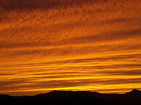 Onlycameltoes pornstar sexy archive