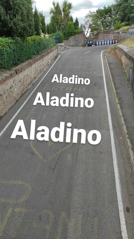 Aladino porn model pictures