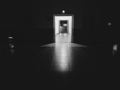 polyaddict best pornstar photo