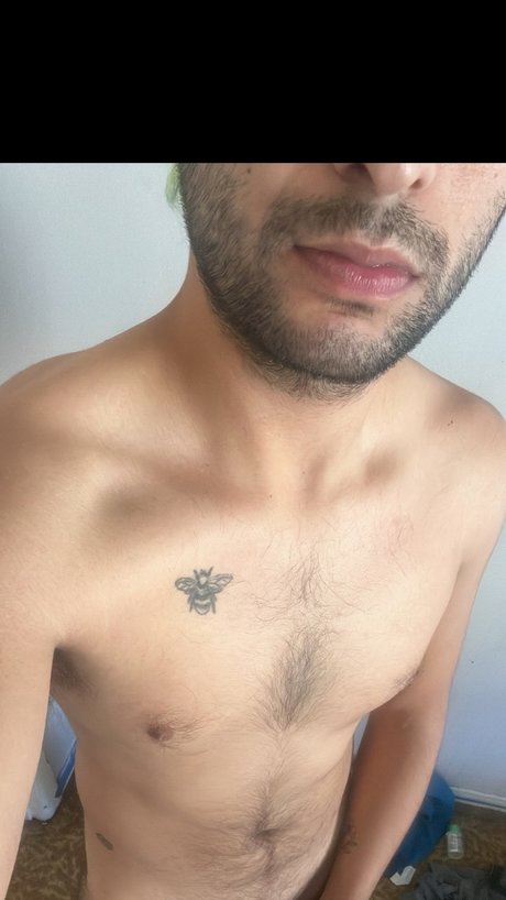 Patrik olmedo pornographic star photos