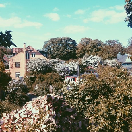 Pippi_ pornstar erotic pictures