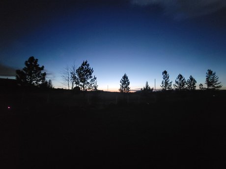 Pinks Place model high quality photo