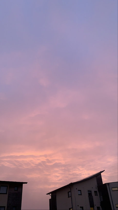 ali_ high quality actress pic