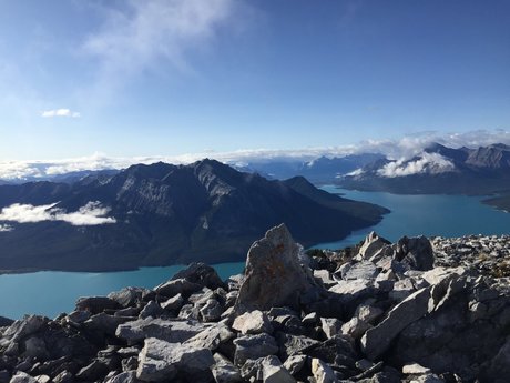 Pierce Biggs_ model free picture