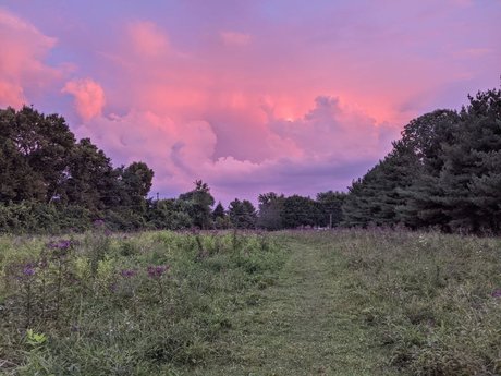 Domme Philippi pornstar sex picture