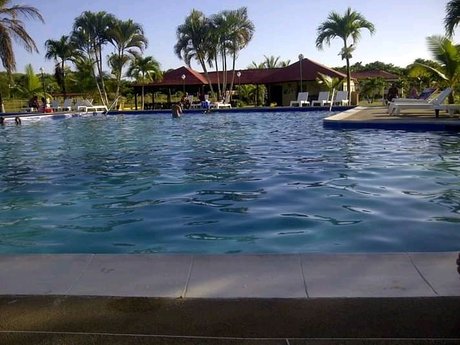 Pedro Gonzalez adult model image