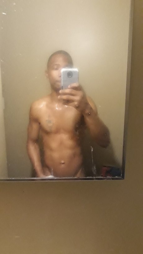 VIRGO art model archive