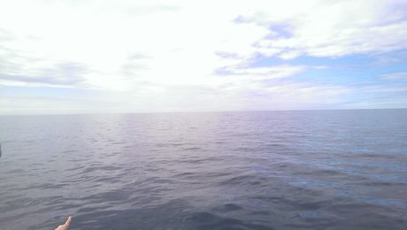 Petr Vert pornographic model pics