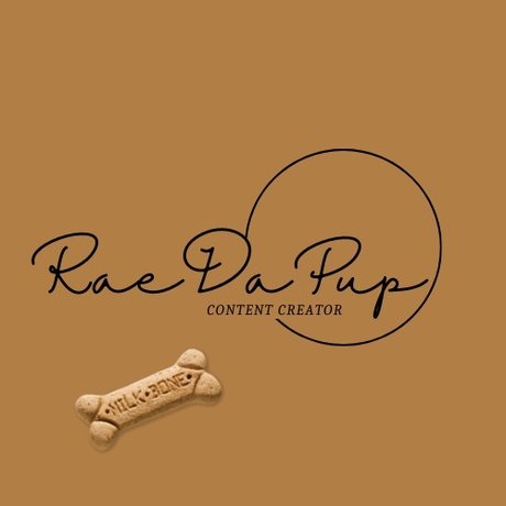 RaeDaPup star archive