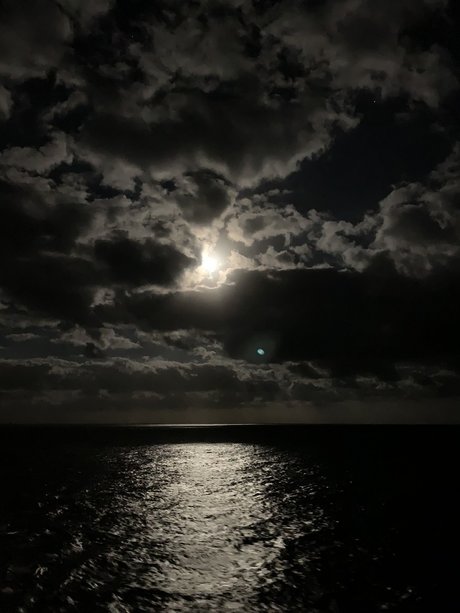 Radam84 pretty star photo