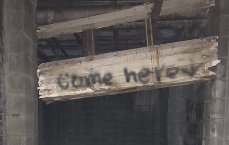 Quietlyhere model img