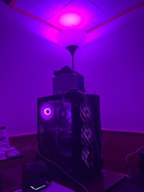 Lilian Marie adult actress pictures