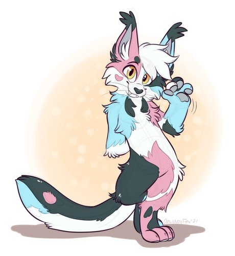 PucksTailor exclusive model archive