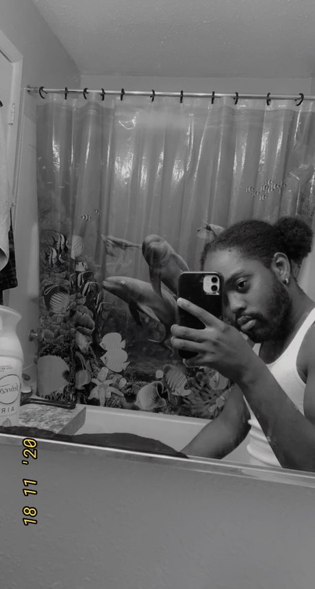 Lawrence_ perfect star gallery