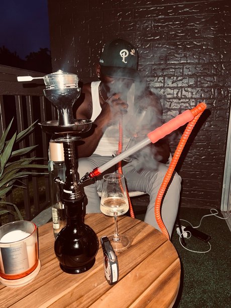 444 perfect model archive