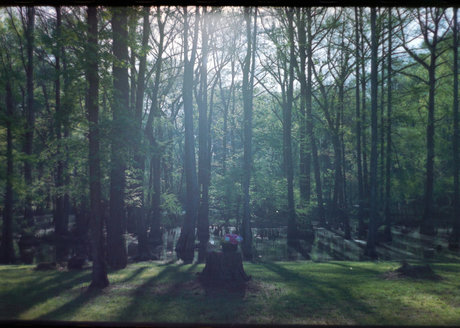 Riley Chase hot pornstar pictures