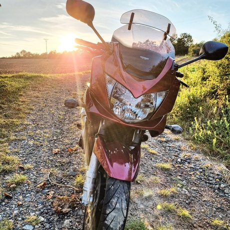 Rieslinger adult star pics