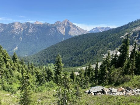 rhino___ pornstar pretty img