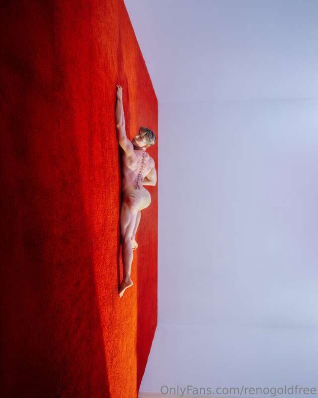 renogoldfree pornographic model pic