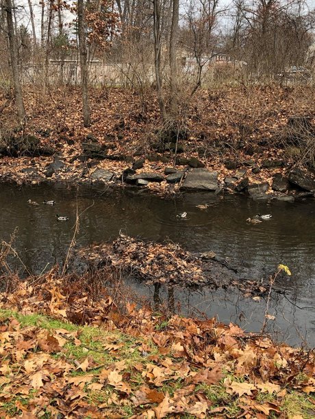 firehose pornstar sexy gallery