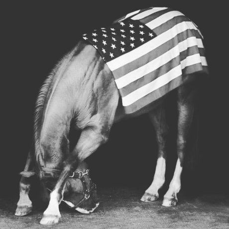 Rebel Country2002 model naked pictures