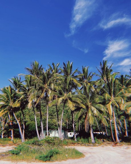 Tila Maria nude model img