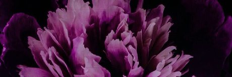 rasir high quality model image