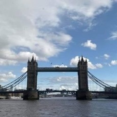 random social guy best pornstar archive