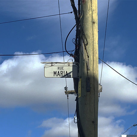 u25741223 adult star image