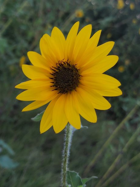 Mari1007 art actress pics