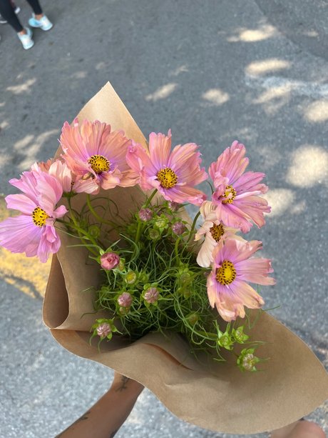 _Margot pornographic star pictures