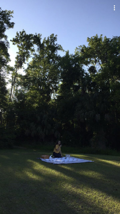 mar bear star best images