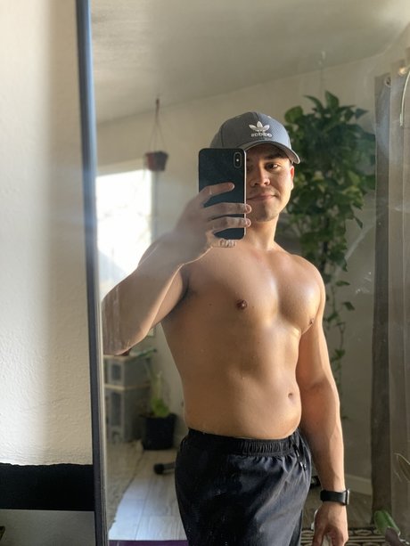 Plant papi model top images