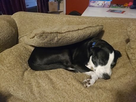 MarriedinLawrence star best picture