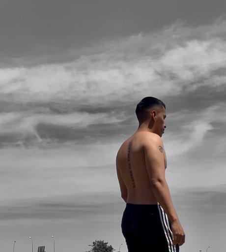 Vleid_ hd star gallery