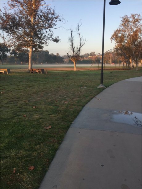 Pegasus star hd photos