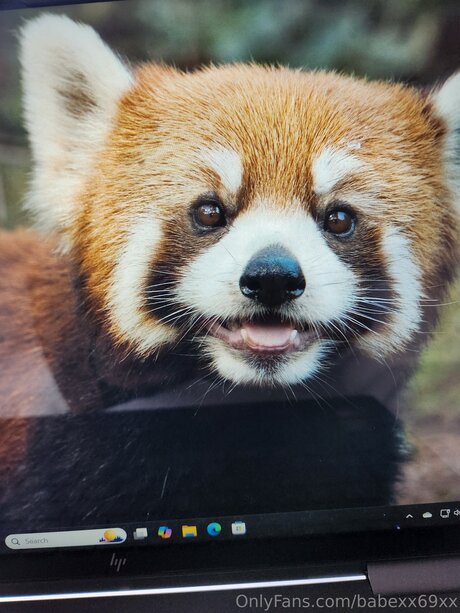 BabeXX69XX sex star gallery