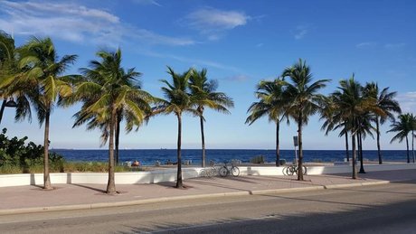 Ashton Keily pornstar pretty pics