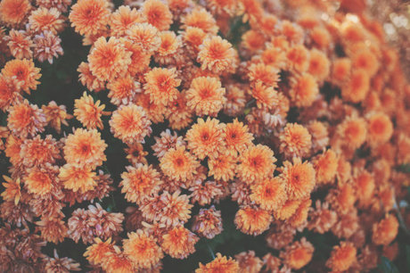 bambi boi beautiful pornstar pics